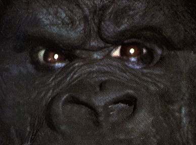 Kong's gaze